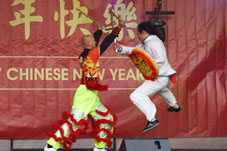 Kung Fu voor Chinees Nieuwjaar Rotterdam 2017